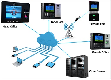 Cloud based time attendance